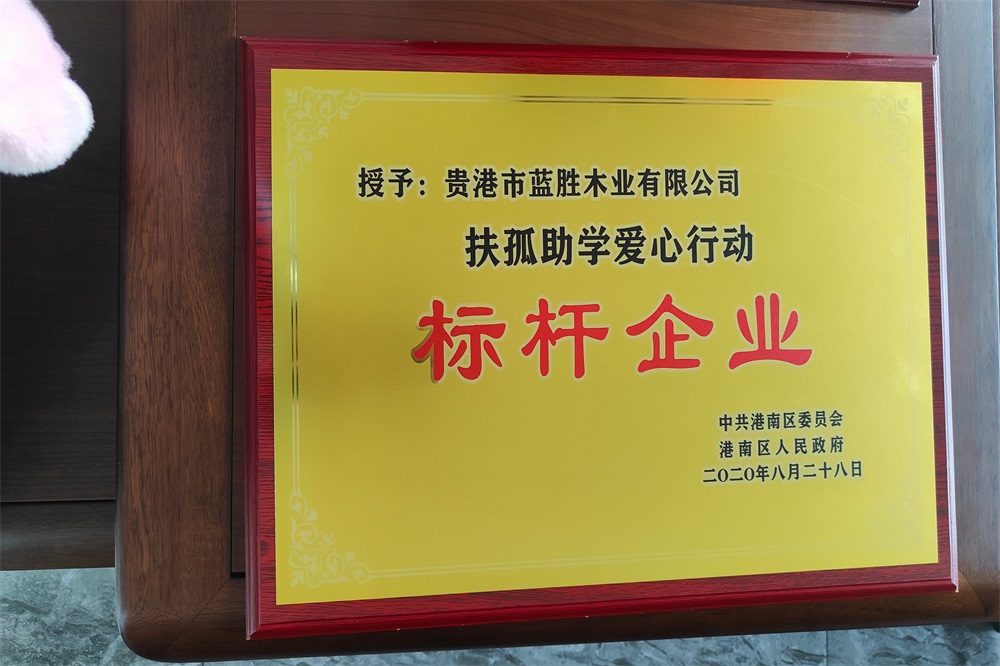 2020扶孤助學(xué)標(biāo)桿企業(yè)